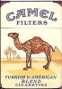 Camel